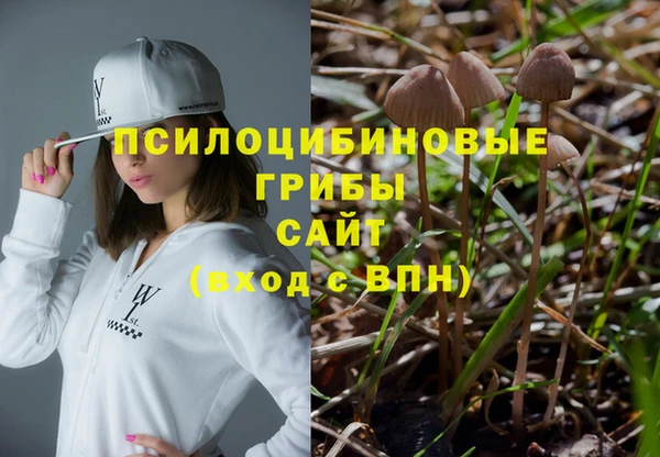 гидропоника Карпинск