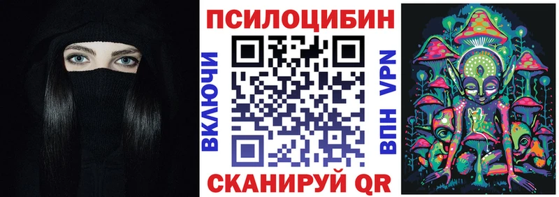 где купить наркотик Пенза Псилоцибиновые грибы Psilocybine cubensis