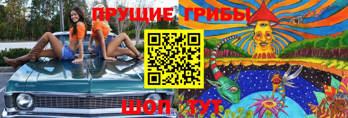 Галлюциногенные грибы GOLDEN TEACHER  Вход с VPN  Пенза 