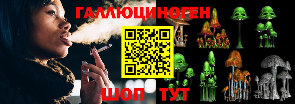 Псилоцибиновые грибы Psilocybine cubensis  Пенза 