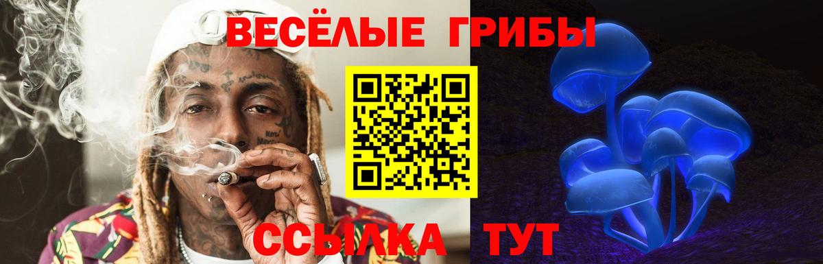 Галлюциногенные грибы прущие грибы Пенза